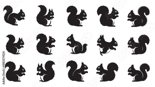 Set of Black Squirrel Silhouettes Collection for Design Projects and Illustrations