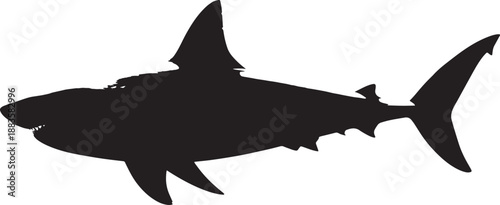 Silhouette of a shark in dramatic pose with dark tone on white background for ocean wildlife