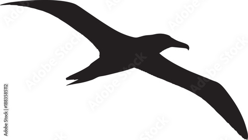 Seagull Silhouette in Flight with Dramatic Pose in Black on White Background for Wildlife Illustration