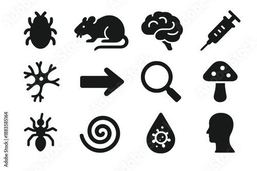 Neuroparasitology Icons Collection. Solid style icons of neuroparasitology and host manipulation: parasite, rat, brain, syringe,