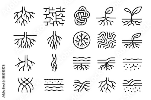 Root Network Icons. Line style icons of roots and growth: branching roots, underground network, root knot, sprouting seed, soil