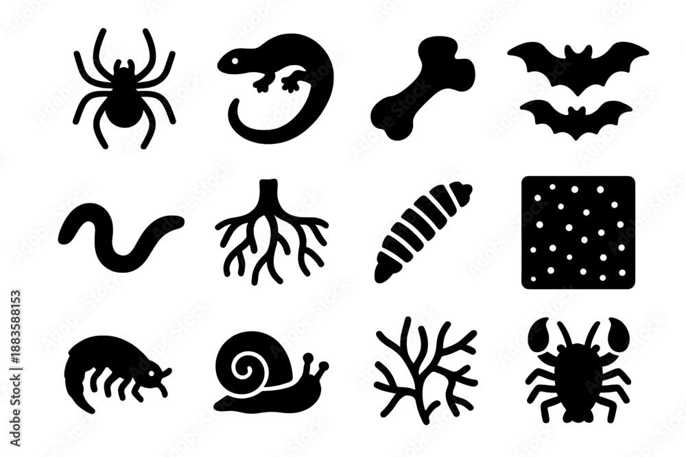 Fototapeta premium Subterranean Life Icons. Solid style icons of Subterranean Life: Cave Spider, Salamander, Fossil Bone, Bat Colony, Worm, Root