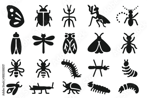 Tropical Insect Icons. Solid style icons of Tropical Insects: butterfly wing, beetle shell, stick insect, praying mantis, leaf bug