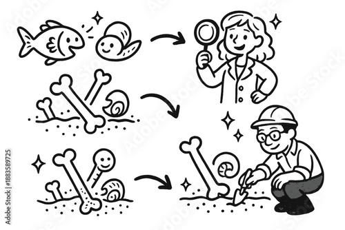 Cheerful Taphonomy Journey. Magical doodle taphonomic timeline with cheerful bones and shells, cartoon arrows showing decay and