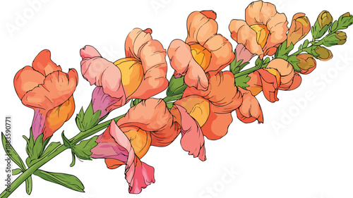 Colorful Snapdragon Flower Cartoon Style Illustration for Design Projects