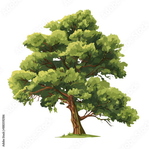 Tablou pe pânză Flat 2D Yew Tree vector illustration, icon graphic on white background