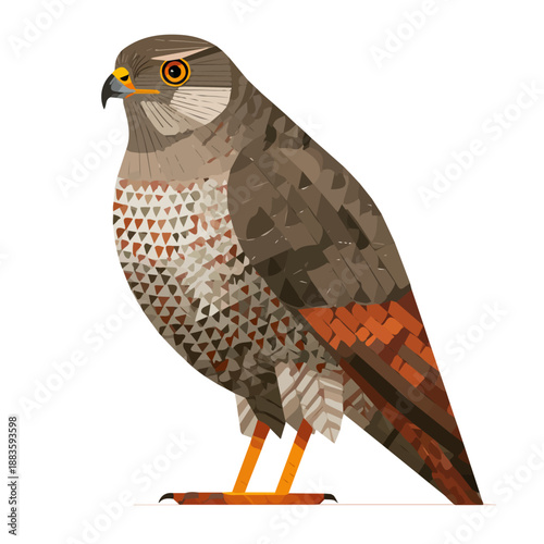 Tableau sur toile Goshawk, 2D flat vector illustration in icon style, isolated on a white backgrou