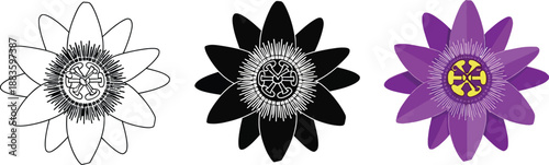 Collection of water lily icons in outline silhouette and color representing nature and floral design elements for various applications