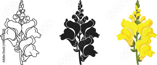 Collection of snapdragon flower illustrations including line art silhouette and color vector perfect for botanical designs and nature themes