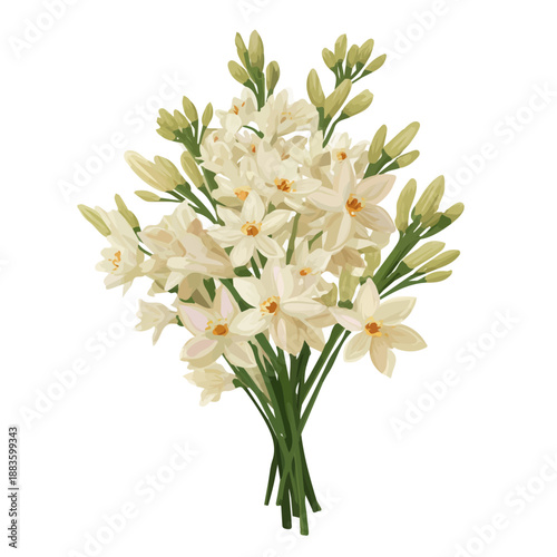 Flat-design 2D vector artwork of a Tuberose Bouquet, styled as an icon and isolated against white background