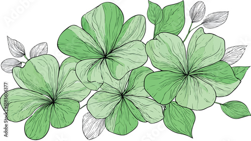 Elegant Drawing Flowers Green Leaf Vector Outline