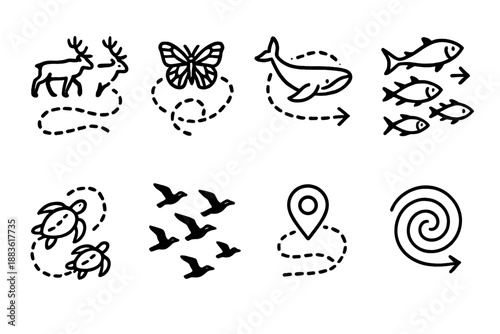 Animal Migration Icons. Animal Migration Patterns set in outline vector style: caribou trail, monarch butterfly path, whale route line, fish school arrow,