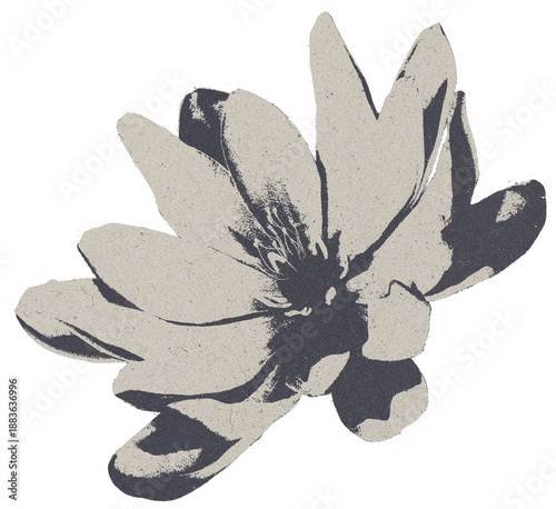 vintage grunge flower illustration featuring heavy photocopy noise texture and high contrast grain in beige and black isolated on transparent background for retro zine design