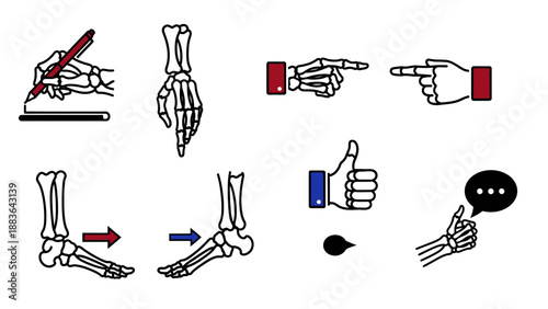 Hand Gestures and Illustrations of Human Anatomy.