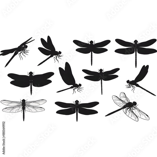 Dragonfly silhouettes and illustrations in various poses and styles
