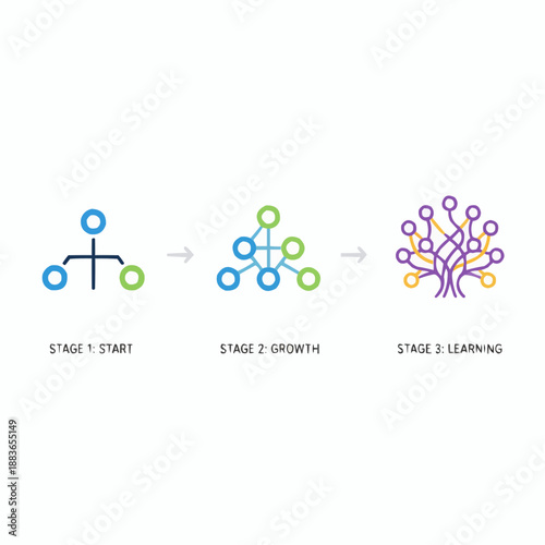 A colorful vector graphic illustrating the three stages of growth and learning