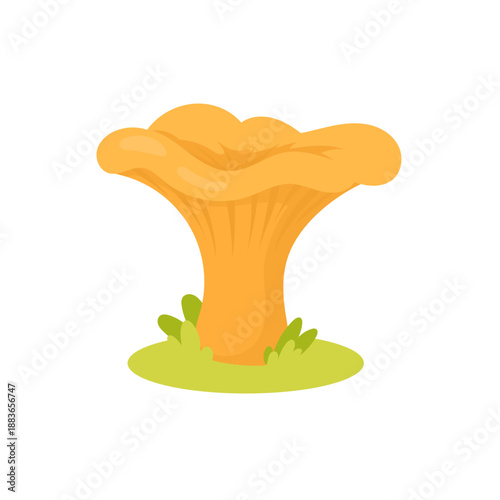 Mushroom illustration of bright chanterelle fungus growing on grass, chanterelle mushroom graphic for gourmet food concepts, autumn foraging visuals, menu design