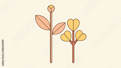 Two simplified botanical stems with leaves line art illustration