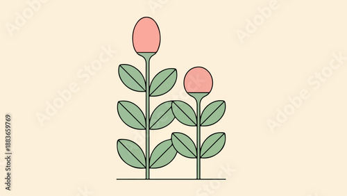 Botanical illustration of two plants with green oval leaves and soft pink flower buds on light beige background