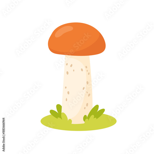 Mushroom illustration of aspen bolete standing on grass, aspen bolete mushroom graphic for forest food themes, autumn foraging visuals, culinary design use