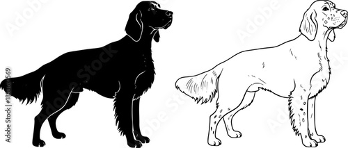 Illustration of two english setter dogs one in outline and one in solid black silhouette style image editable vector
