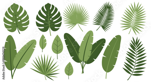 Collection of various green tropical leaves and plants in different shapes and sizes arranged in a visually appealing composition