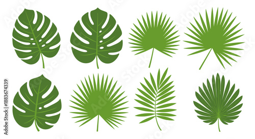 Collection of various green tropical leaves arranged in a grid pattern, viewed from directly above, showcasing different shapes and sizes