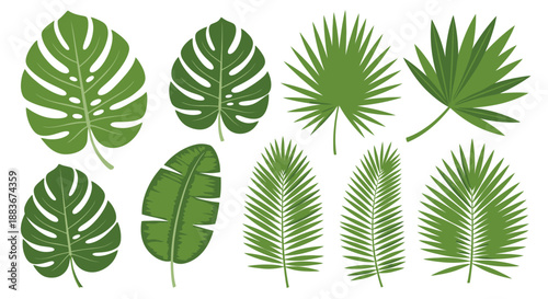 Collection of various tropical leaves and foliage displayed in a grid arrangement