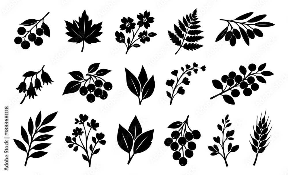 Fototapeta premium Minimalist silhouette nature icons set featuring leaves, berries, flowers, and a wheat stalk for organic branding and decoration