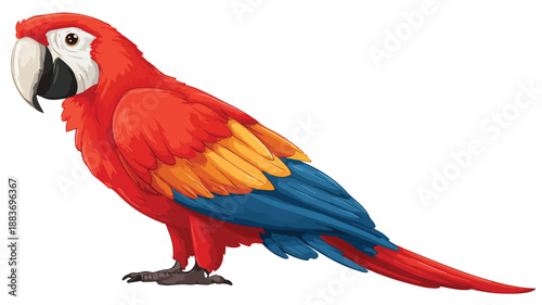 Colorful Macaw Bird Cartoon Vector with Outline Isolated on White Background