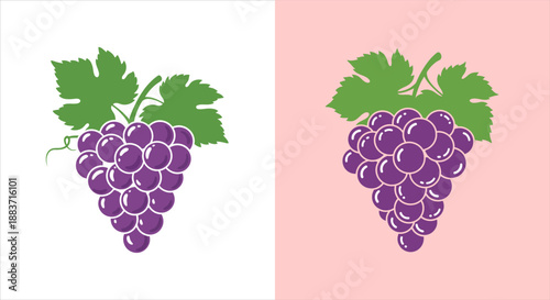 Sweet Grape Icon Set Juicy Fruit Illustrations for Healthy Lifestyle and Wine Themes