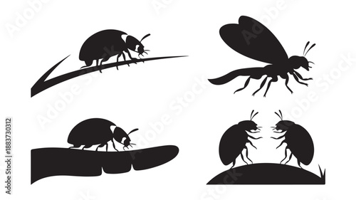 Insect silhouettes with minimalist graphic style in black and white vector format for nature design elements.
