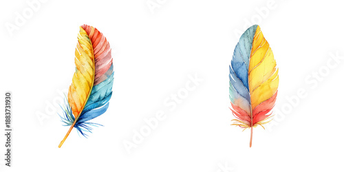 feather watercolor vector illustration