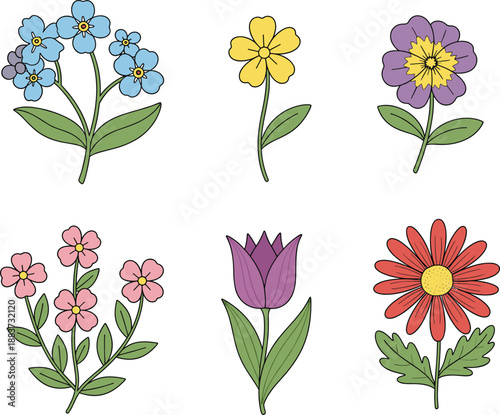 Vector Illustration Set of Colorful Hand Drawn Flowers Including Tulip Daisy and Forget Me NotVector Illustration Set of Colorful Hand Drawn Flowers Including Tulip Daisy and Forget Me Not