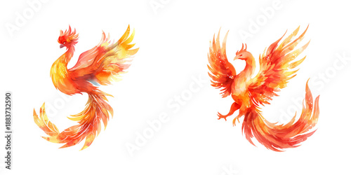 flaming phoenix watercolor vector illustration