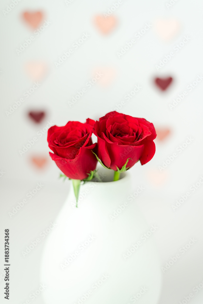 Fototapeta premium Red roses in vase on white background, close-up view