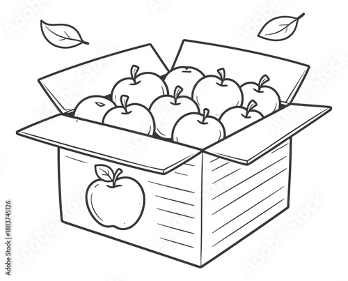 Hand drawn line art illustration of a box of apples depicting autumn harvest for market concepts