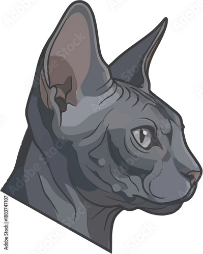 Cartoon Sphinx Cat Portrait