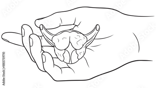 Hand holding small organ illustration representing microanatomy histology and biomedical sample analysis vector illustration
