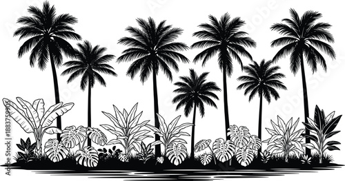 Tropical palm tree jungle silhouette landscape with exotic leaves and plants black and white nature vector illustration for summer, beach, forest design