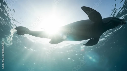 Plesiosaur Swimming in Ocean Depths: Prehistoric Marine Reptile Experience