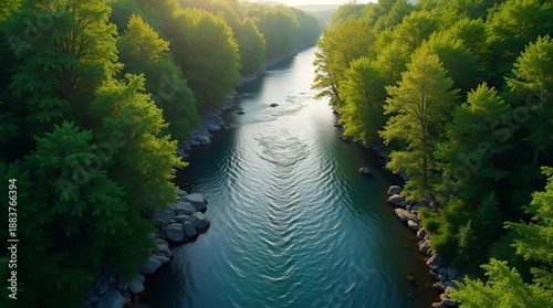 Intersecting River Streams in Forest – Symbol of Life Choices and Pathways