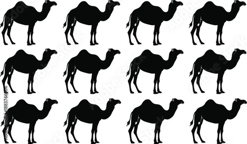 Twelve black Bactrian camel silhouettes in grid layout with two humps on white background for design or educational use