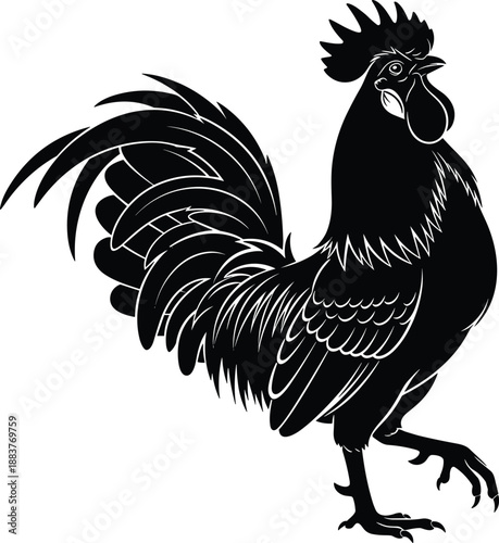 Standing rooster silhouette vector illustration, detailed proud cockerel farm bird with comb and long tail 