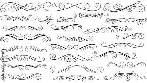 Collection of intricate black floral, leaf, and swirl decorative line art borders