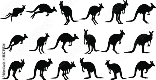 Black kangaroo silhouette vector collection featuring various poses like jumping hopping standing and grazing isolated on white background for wildlife nature and Australian outback design projects