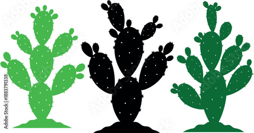 Prickly Pear Cactus Set Silhouette and Color Illustration