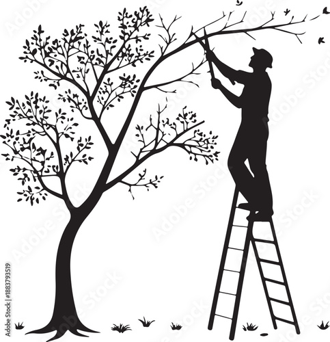 Black Silhouette of Gardener Pruning Tree Branch on Ladder