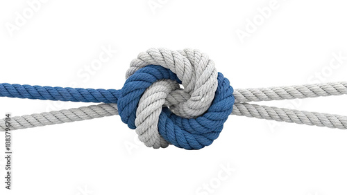 Intertwined Blue and White Ropes Tied in a Knot