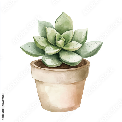 Watercolor painting of a beautiful green succulent in a clay pot.